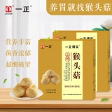 Грибные грибные грибные грибные грибы