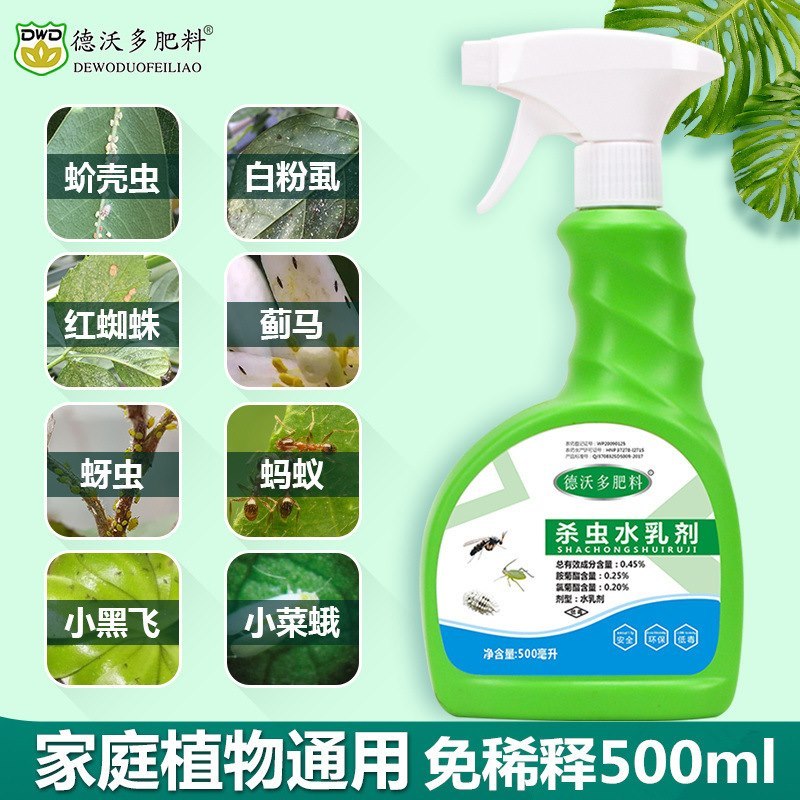 Osmanthus, chrysanthemum, Bonsai, Pot plants, Insecticides, Insect repellents, general flying insects, flowers, insects, garden bugs