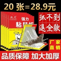 Hotel continuous sticky mouse board strong mouse sticky board household 20-sheet mouse sticky version dual-use mouse