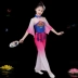 Quần áo khiêu vũ cổ điển cho trẻ em gái Quần áo Yangko Quần áo trẻ em Trung Quốc biểu diễn múa mẫu giáo quần áo phong cách mới - Trang phục quần áo tập nhảy Trang phục