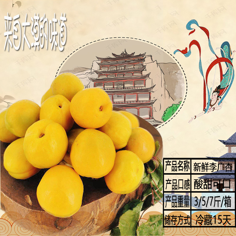 Dunhuang specialty crescent spring Heshui Li Guang apricot fresh fruit Li Guang apricot seasonal fresh apricot apricot orchard straight hair
