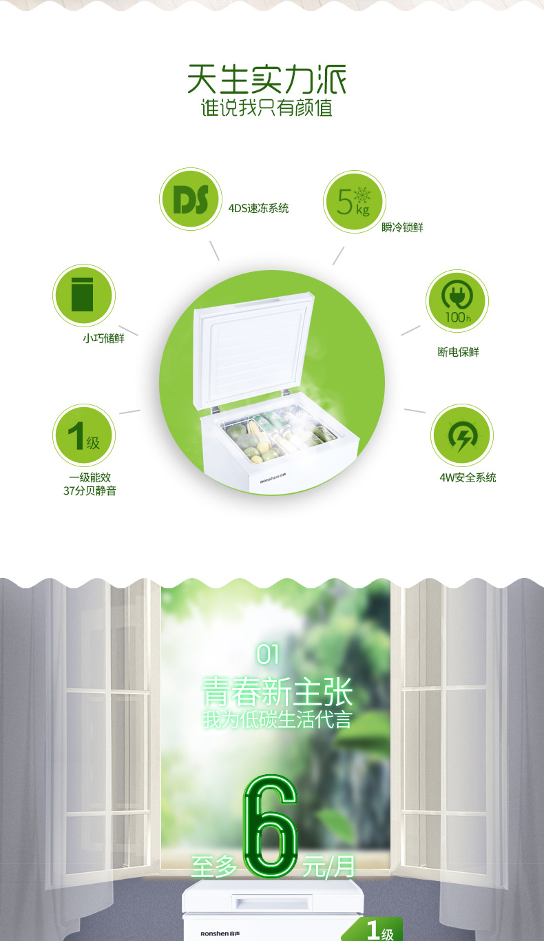 Ronshen Rongsheng BD BC-100MS Tủ đông nhỏ hộ gia đình - Tủ đông tủ đông sanden