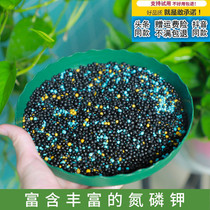 Good man strict selection plants flowers universal slow-release fertilizer long-term moderate granular fertilizers made from fruits and vegetables planting controlled-release fertilizer