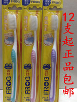 12 frog QH323 soft hair adult toothbrush super value clean soft care gums
