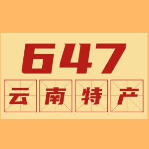 647云南特产店