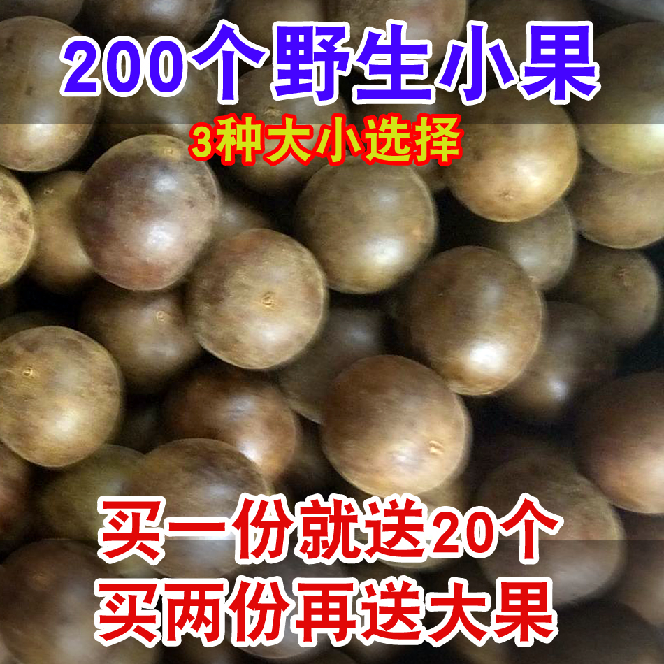 200 wild small grosmites to send 20 hair 220 x 220 Guangxi Guilin Yongfu special fruits dried to be sent to flower tea-Taobao