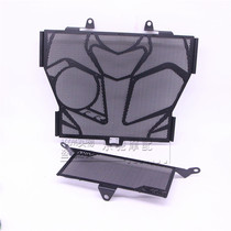 BMW S1000RR HP4 S1000XR S1000R water tank guard protective cover Water tank protection net