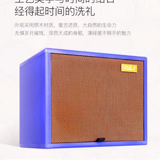 Lisheng hệ thống âm thanh guitar mới Player 2 loa ngoài trời chơi đặc biệt - Loa loa loa jamo