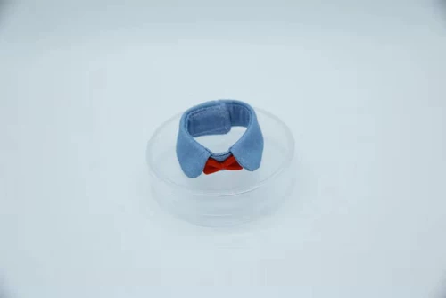 Чокер, галстук-бабочка, регулируемый фальшивый воротник