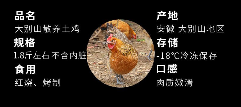 正宗散养农家土鸡 2斤*2只 图2
