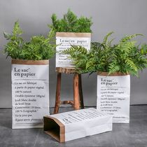 ins Wind fake grass potted simple Nordic decorative ornaments suit simulation ferns green leaves shooting props