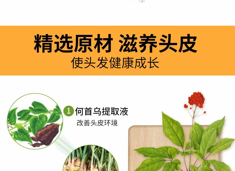 Zhuo Lanya Scalp Putrition Solution_09.jpg