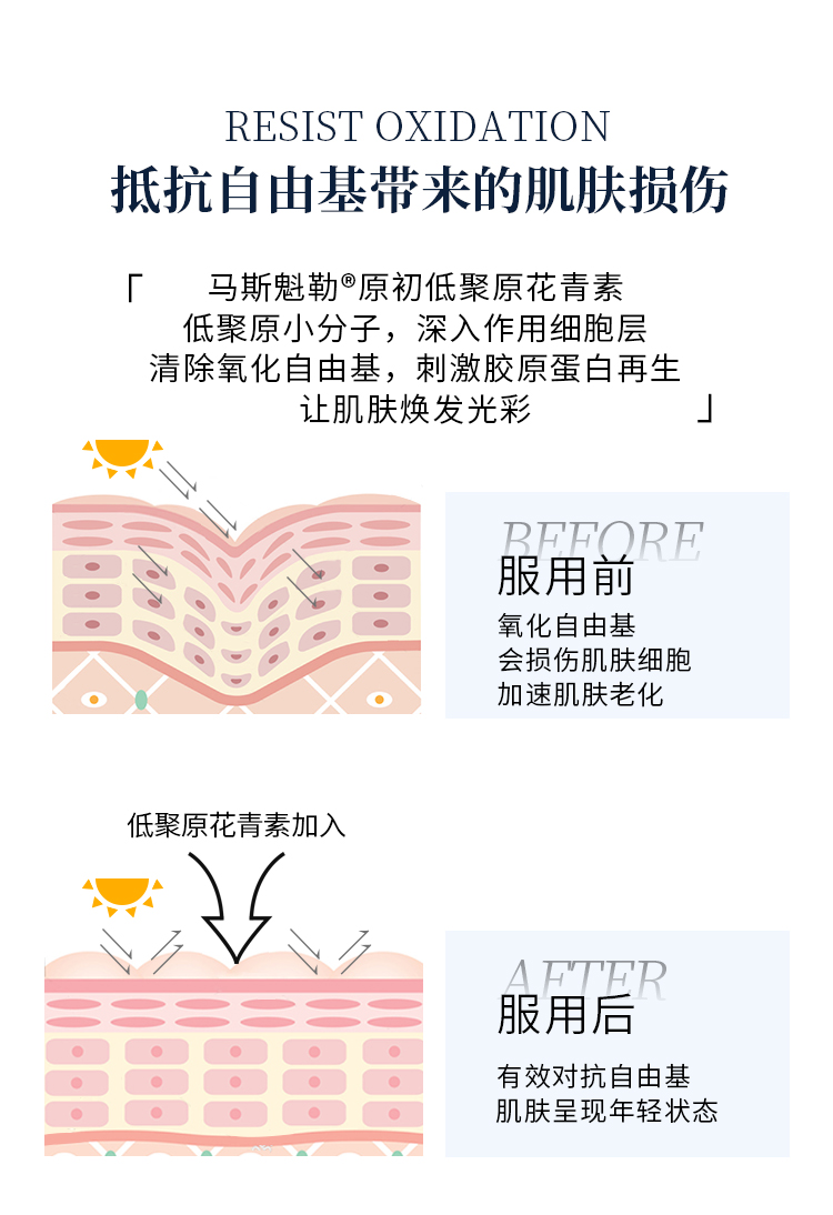 澳洲月光宝盒葡萄籽胶囊100粒*2盒