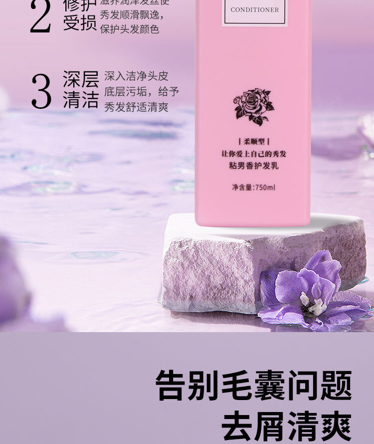 安享好物 安享B级洗发水-韩笛紫炫洗发水 国标
