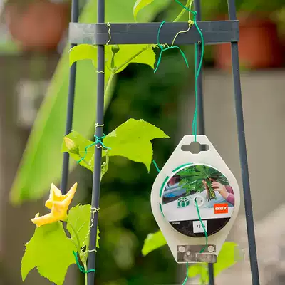Ou Dan environmental protection PVC gardening strapping line plant traction enameled wire 75 meters 2 original high quality quality
