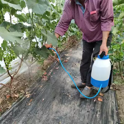 Koneng grape flower pulling device Grape spike puffing fruit farmer's kiwi fruit puffing device to promote red puffing electric flower sprayer