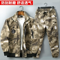 Желтые руины установлены [вверху + брюки] обеспечение качества