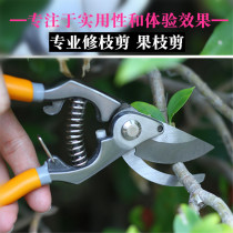 Gardening scissors pruning knives Fruit tree pruning twigs scissors jingle scissors gardener scissors garden scissors