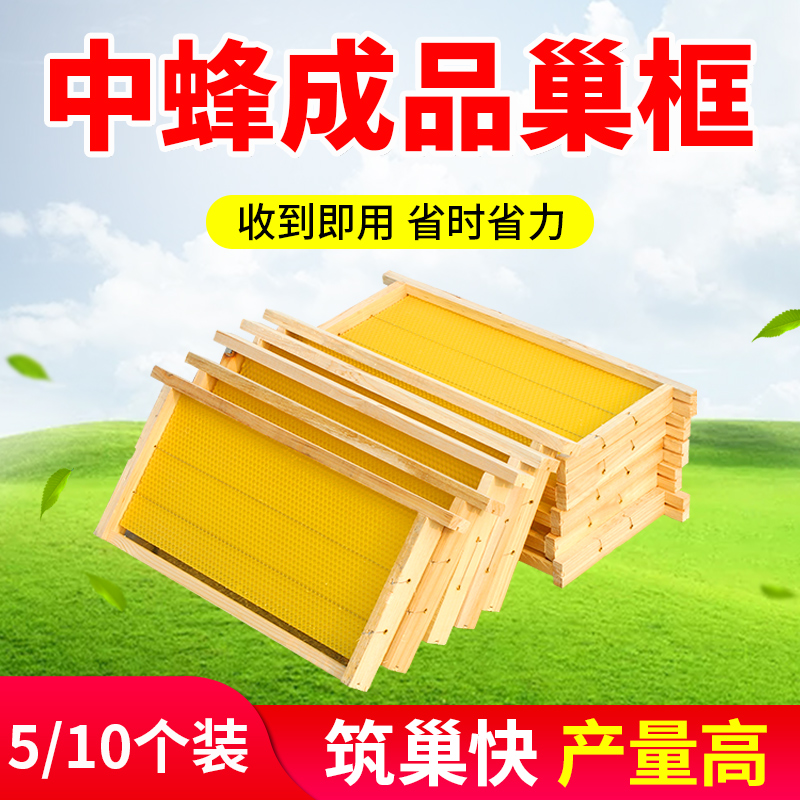 Middle Bee Finished Nest Boxes Beehive Nest Kiji Beehives in honeycomb base with frame stainless steel wire beekeeper Special honey honeycomb frame-Taobao