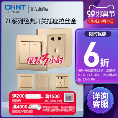 Chint switch panel household NEW7L drawing Gold Wall air conditioner 16A one open five holes with usb socket