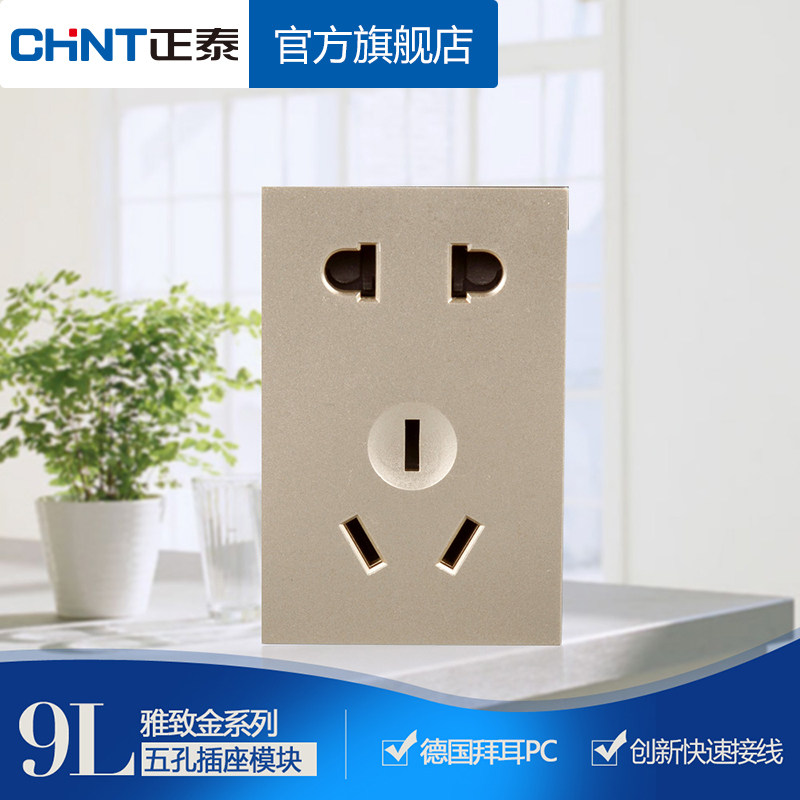 Zhengtai 120 Type 9L Wall Switch Socket Function Key Five Holes Socket Switch Combo Module