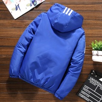 Fashionable new Yun cotton-padded young boys fat plus size cotton-padded velvet padded short cotton-padded jacket Han