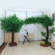 Simulated Banyan Tree, Artificial Large Plant, Hotel Mall Wedding Props, Wishing Tree, Landscape Tree, Window Decoration