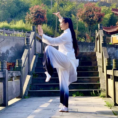 Tai chi clothing chinese kung fu uniforms Tai Chi Clothingquan women's new elegant gradient color mid long competition performance costume Tai Chi Clothingquan training suit spring and Autumn