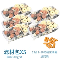 13 -1 в -1 мешок для материала фильтра (5 кот) +10 зерно нитрифицирующих бактерий