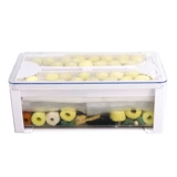 Танк Черепаха помещается в коробку фильтра