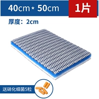 Модернизированная версия, 40×50см, 1 штук