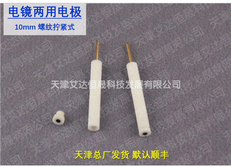 T 天津艾达恒晟 电镜两用电极 玻碳 定制 原厂直接发货