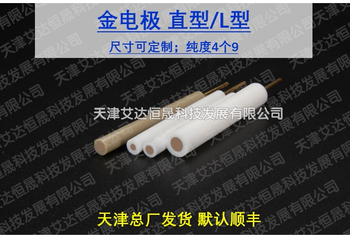 T 天津艾达恒晟 圆盘电极 金电极 随市价 原厂直接发货