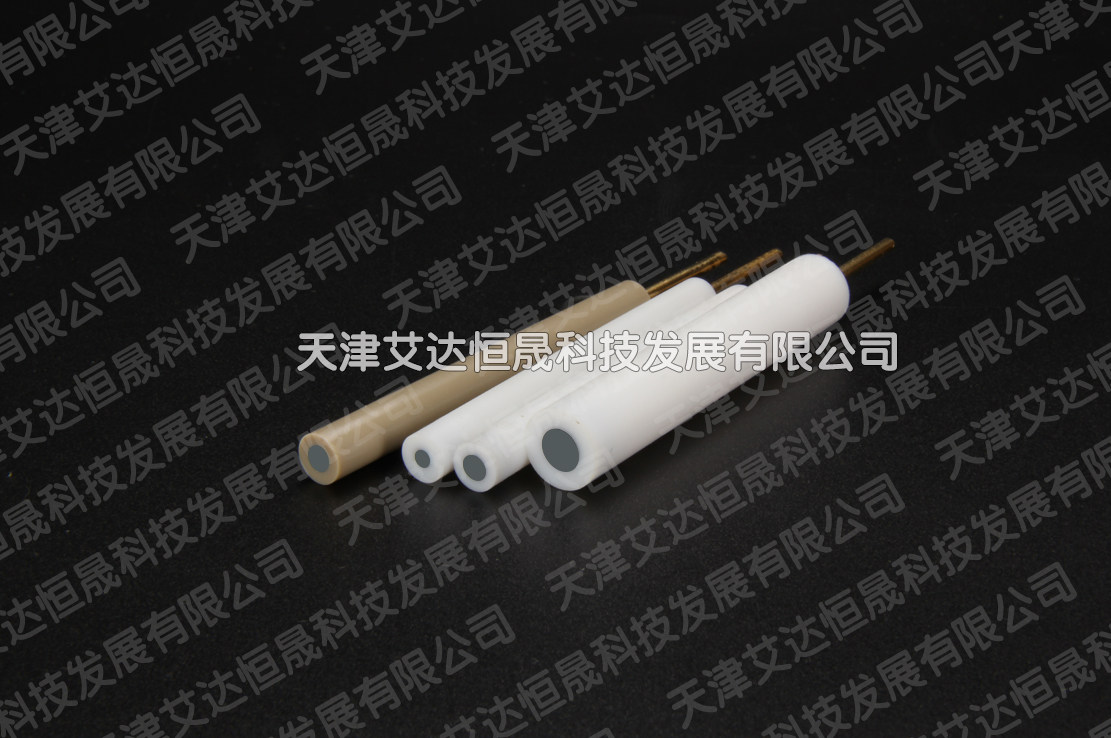 T 天津艾达恒晟 圆盘电极 铂电极 原厂直接发货