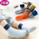 Tất trẻ em, mùa xuân và mùa thu, vớ cotton, vớ trẻ em, mùa thu và mùa đông dày, 0-1-3, bé trai 12 tuổi, bé gái, vớ