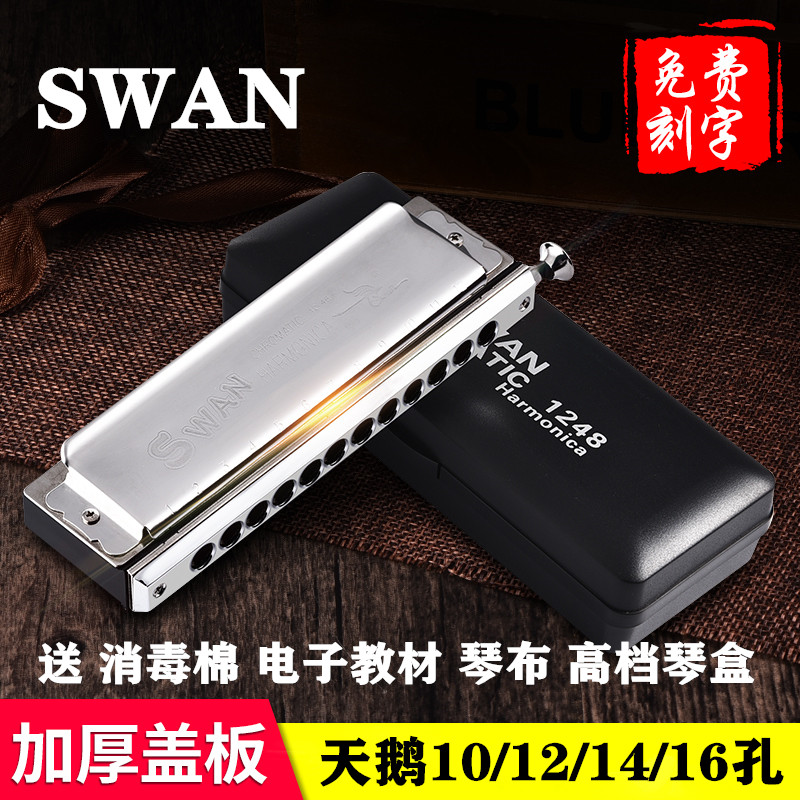 swan swan 10-hole chromatic harmonica 16 12-hole C-tune adult student beginner professional performance-level musical instrument