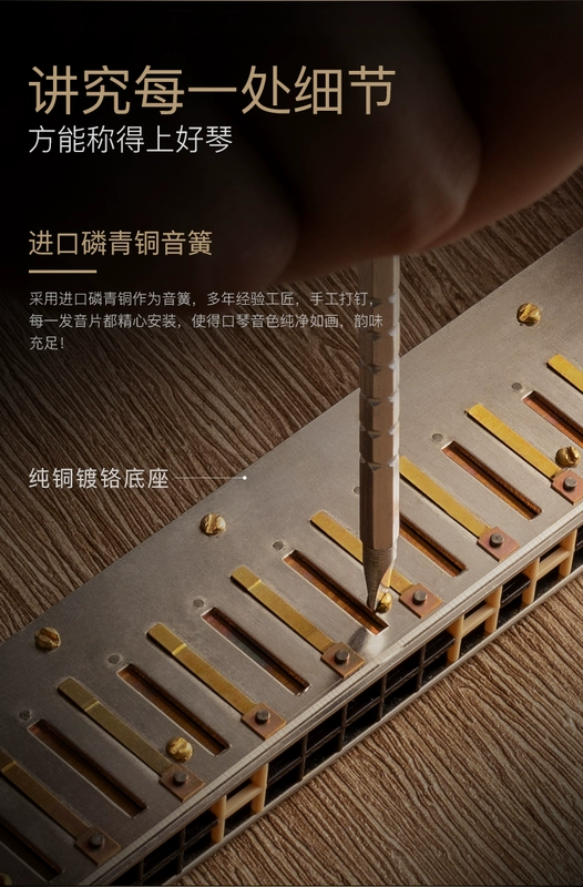 Chimei 28 lỗ đa âm C phím kèn Harmonica cao cấp dành cho nam và nữ bắt đầu chơi piano chuyên nghiệp chơi nhạc cụ - Nhạc cụ phương Tây