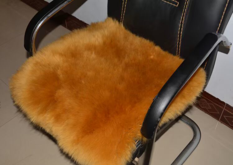mùa đông bằng lông len tinh khiết sofa đệm bữa ăn tùy chỉnh cho nhỏ ghế phía đệm đệm sang trọng sinh vòng phân - Ghế đệm / đệm Sofa mút sofa