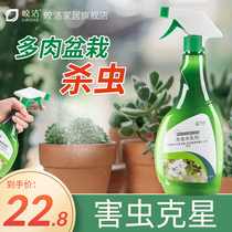 Fleshy insecticide scale insect insecticide scale shell worm special deworms green plant flower plant potted universal grass