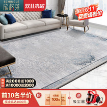 Turkey imported luxury carpet living room bedroom tea table blanket bedside blanket simple modern Nordic rectangular American