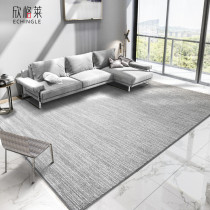Carpet Living room coffee table carpet Nordic modern simple European household carpet Bedroom ins wind bedside mat gray