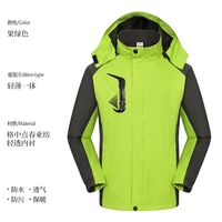 Фруктовый зеленый тонкая весна и осенний стиль