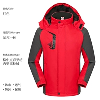 Красный, утолщенный зимой