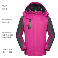 Роза красная сгущается зимой