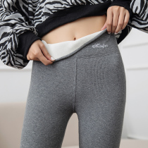 Grey threaded lamb suede with underpants female vertical textured extra-thick gush outside wearing high waist thickened spring and autumn warm cotton pants