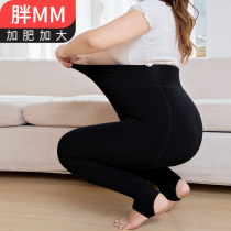 Fat mm base Women autumn and winter velvet warm paragraph thick knitted outer wear plus fat 200kg plus size cotton pantyhose