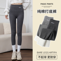 Grey lamb suede beating underpants female spring and autumn slim outside wearing big code warm pure cotton high waist elastic and velvety pants winter