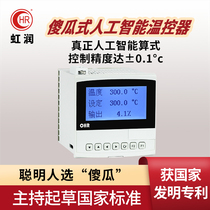 Hongrun intelligent thermostat Temperature controller Adjustable thermostat Pressure level temperature instrument regulator F300