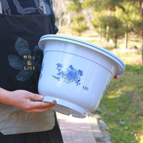 Полюсная вода горшок горшок с зеленым растением вода лотция