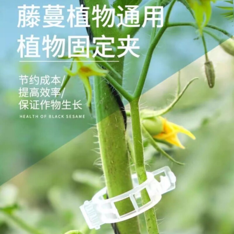 绿植果树枝干固定夹卡扣|藤蔓支撑神器,告别歪斜烂根!-爬墙固定器-淘宝百科网